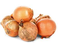 CEBOLLA
