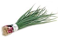 CEBOLLA DE VERDEO